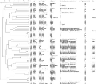Characteristics of Quinolone Resistance in Escherichia coli Isolates from Humans, Animals, and the Environment in the Czech Republic